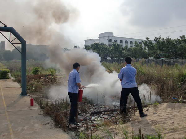 ��������(x��)(4)